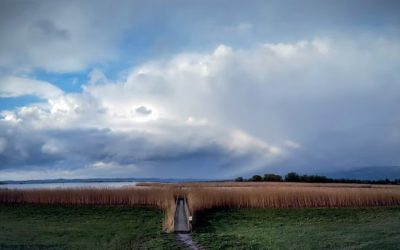 Unser Rheindelta – Juwel auf Zeit?