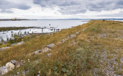 Vortrag und Exkursion: Das Vorarlberger Rheindelta